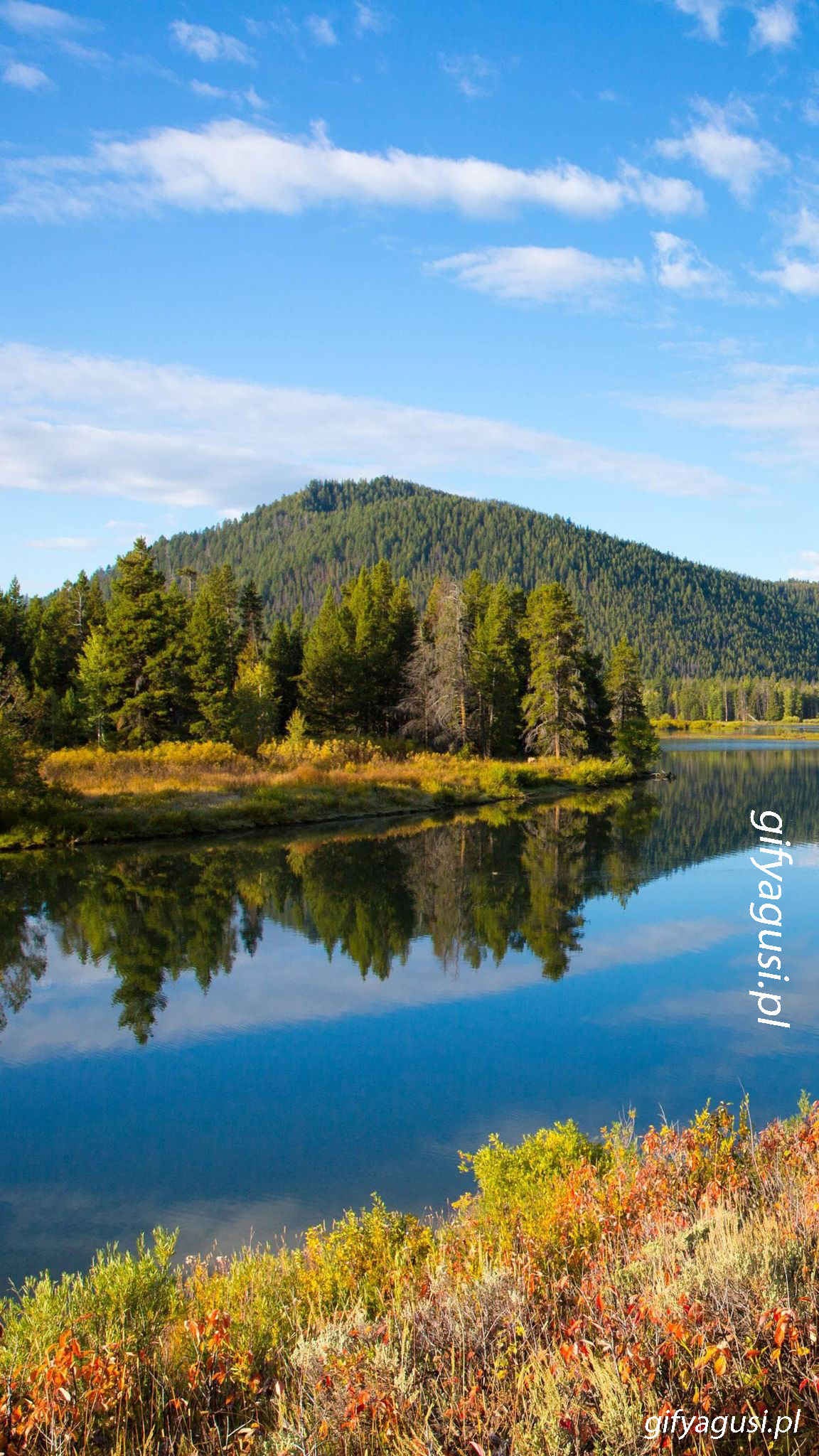 Polska jesień w Bieszczadach